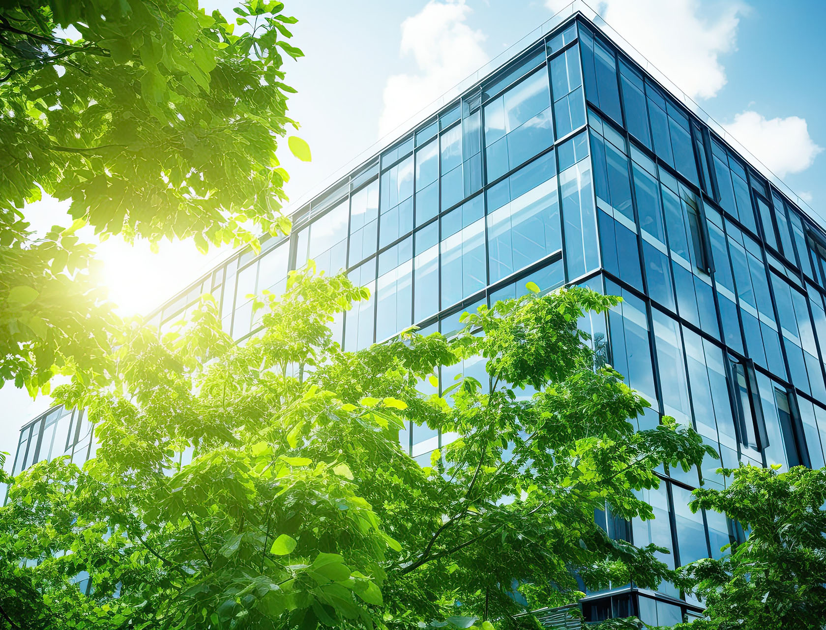 Trees in front of building
